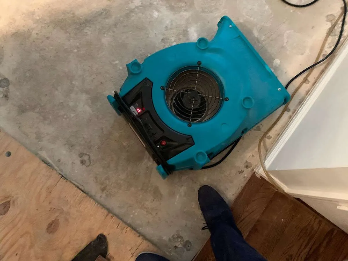 Air mover drying subfloor during Commercial Water Damage Restoration in Spring Hill